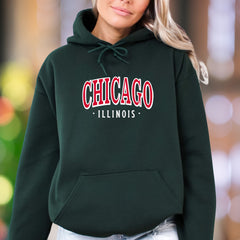 "Chicago Illinois" | Arch Text Streetwear Unisex Adult Hoodie | City Pride Apparel