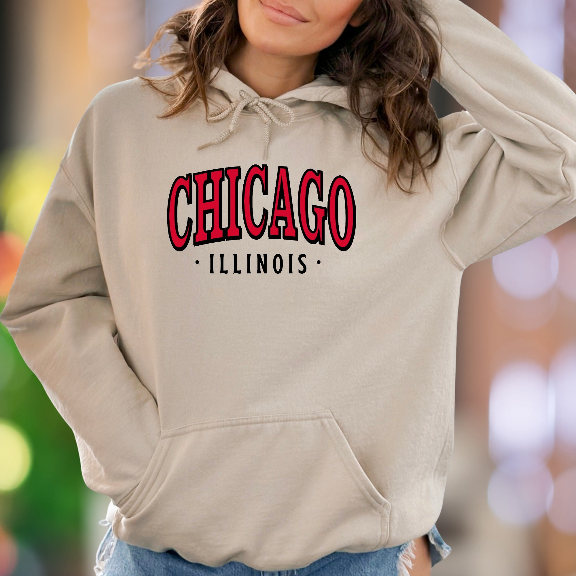 "Chicago Illinois" | Arch Text Streetwear Unisex Adult Hoodie | City Pride Apparel